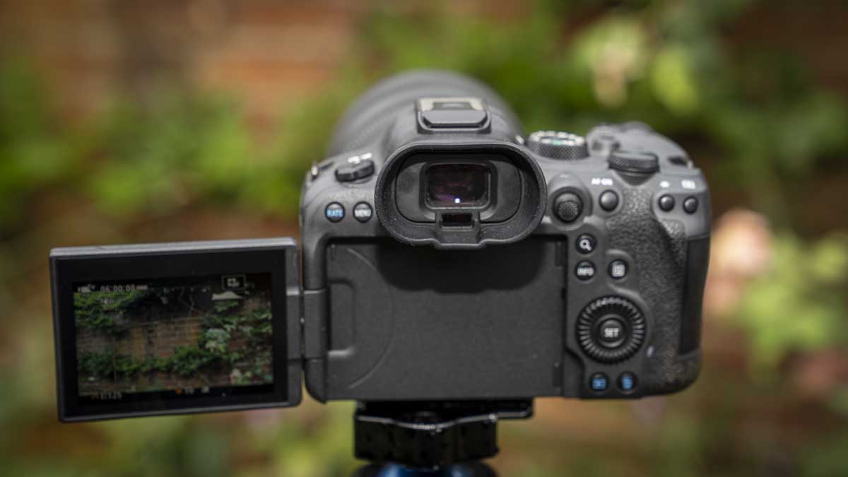 Canon EOS R6 Mark II review