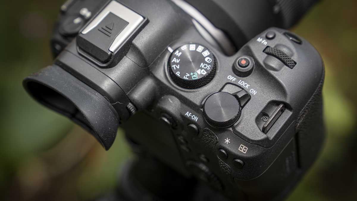 Canon EOS R6 Mark II review